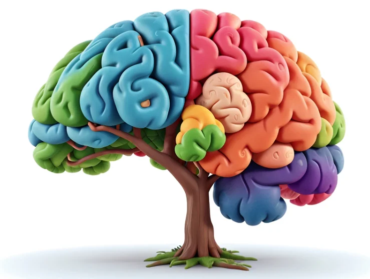 neuropsicologia